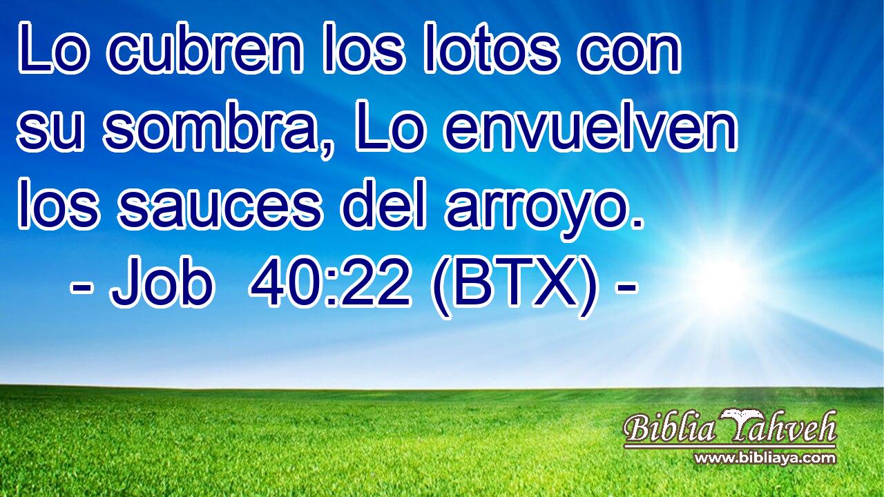 Lo cubren los lotos con su sombra, Lo envuelven los sauces del arroyo.