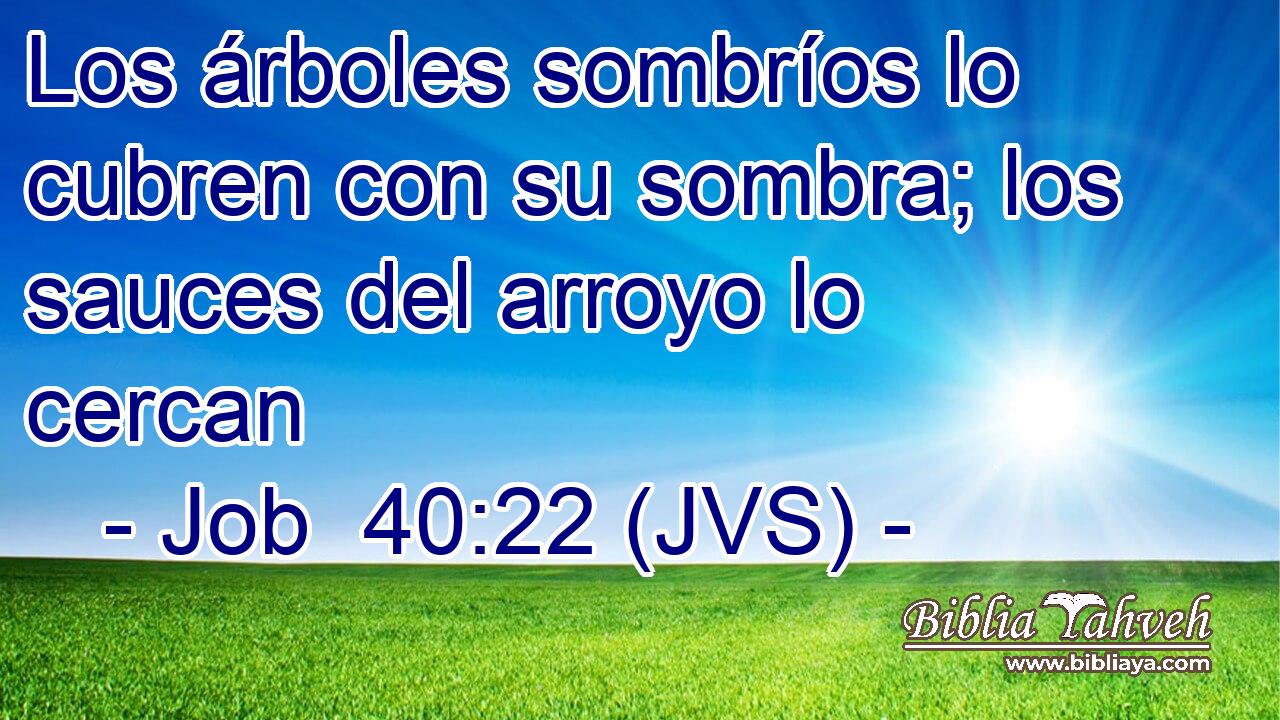 Los árboles sombríos lo cubren con su sombra; los sauces del arroyo lo cercan