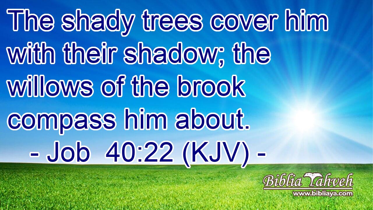 The shady trees cover him with their shadow; the willows of the brook compass him about.