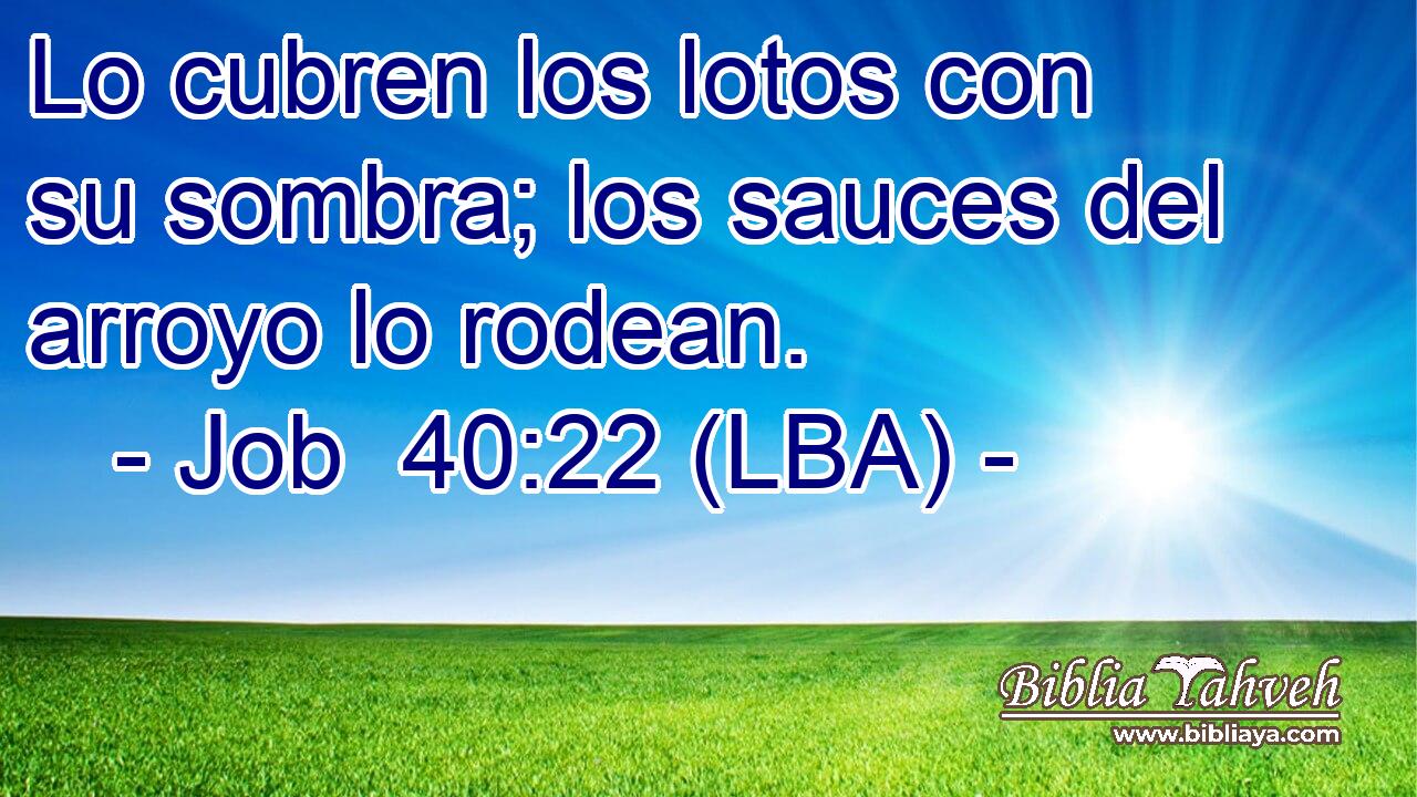 Lo cubren los lotos con su sombra; los sauces del arroyo lo rodean.