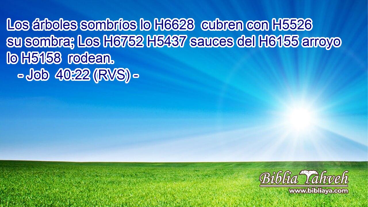 Los árboles sombríos lo H6628  cubren con H5526 su sombra; Los H6752 H5437 sauces del H6155 arroyo lo H5158  rodean. 