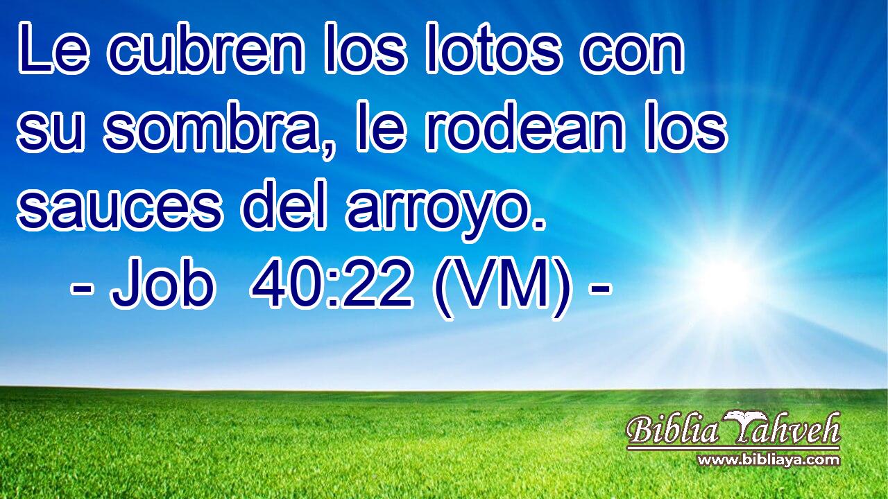  Le cubren los lotos con su sombra, le rodean los sauces del arroyo. 