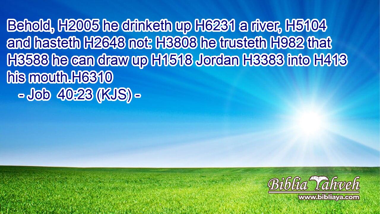 Behold, H2005 he drinketh up H6231 a river, H5104 and hasteth H2648 not: H3808 he trusteth H982 that H3588 he can draw up H1518 Jordan H3383 into H413 his mouth.H6310