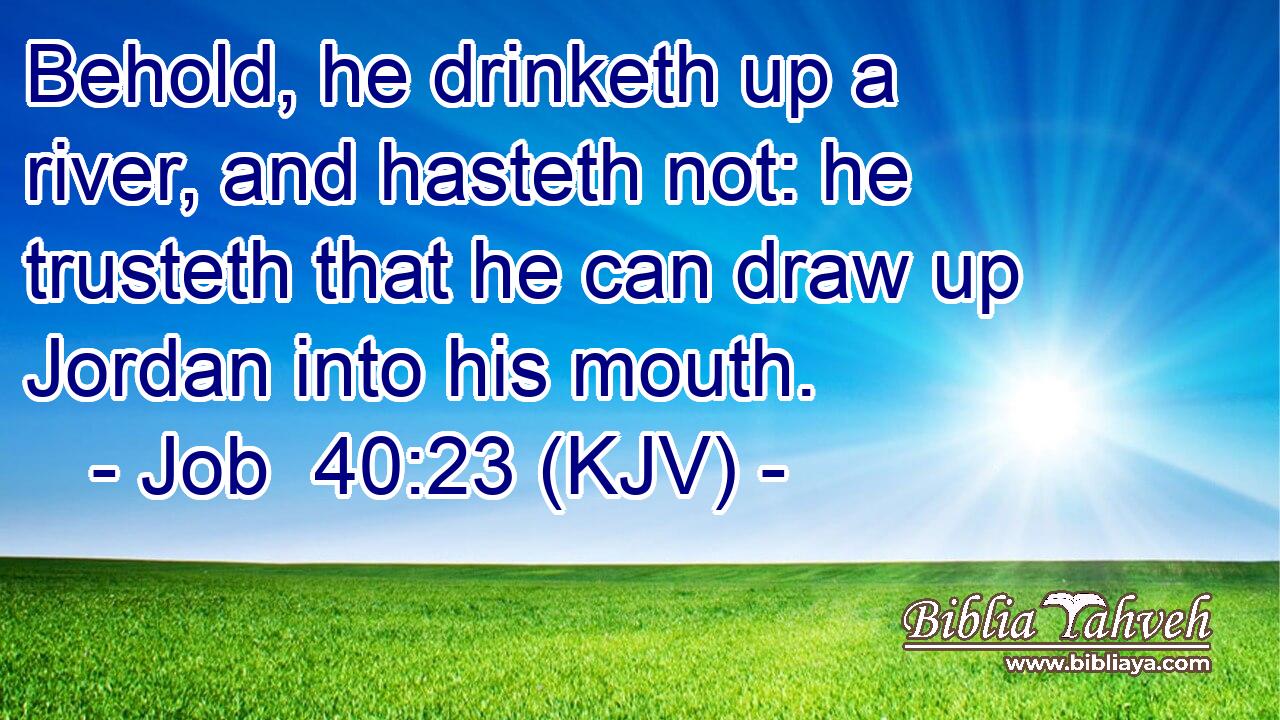 Behold, he drinketh up a river, and hasteth not: he trusteth that he can draw up Jordan into his mouth.