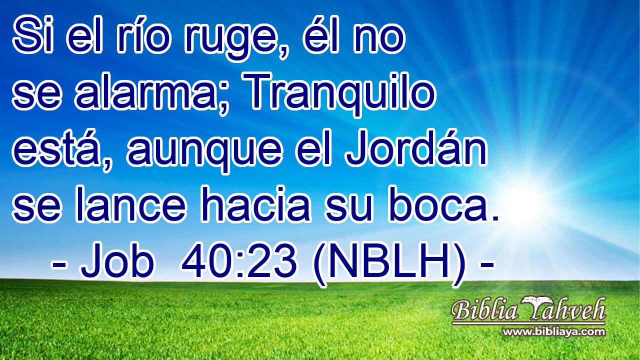  Si el río ruge, él no se alarma; Tranquilo está, aunque el Jordán se lance hacia su boca. 