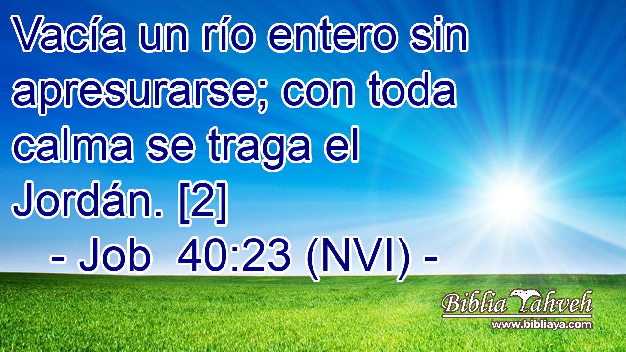  Vacía un río entero sin apresurarse; con toda calma se traga el Jordán. [2] 