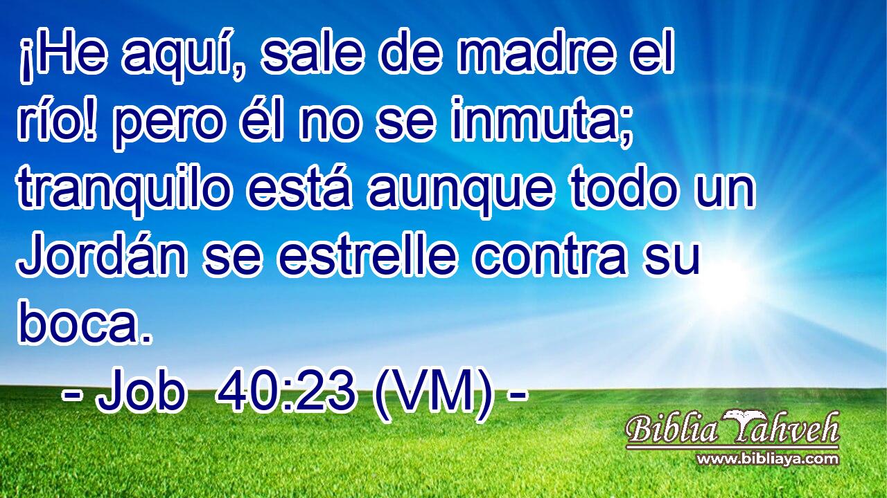  ¡He aquí, sale de madre el río! pero él no se inmuta; tranquilo está aunque todo un Jordán se estrelle contra su boca. 