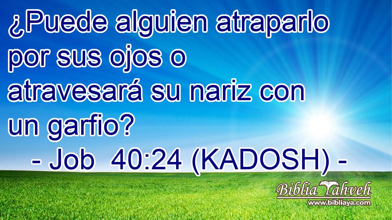  ¿Puede alguien atraparlo por sus ojos o atravesará su nariz con un garfio? 