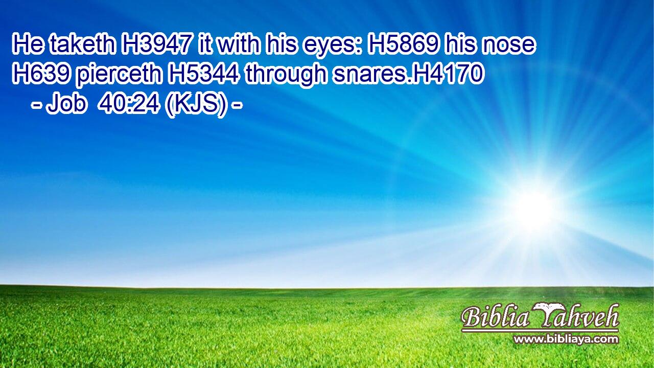 He taketh H3947 it with his eyes: H5869 his nose H639 pierceth H5344 through snares.H4170