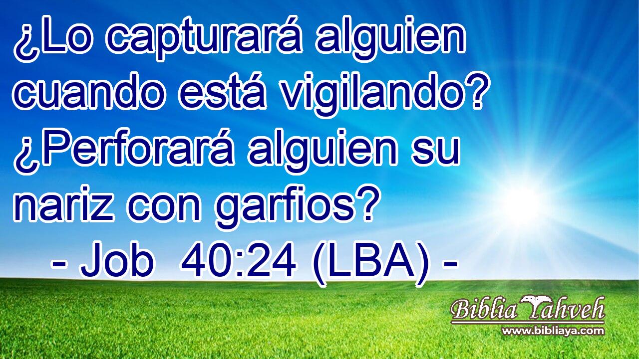 ¿Lo capturará alguien cuando está vigilando? ¿Perforará alguien su nariz con garfios?