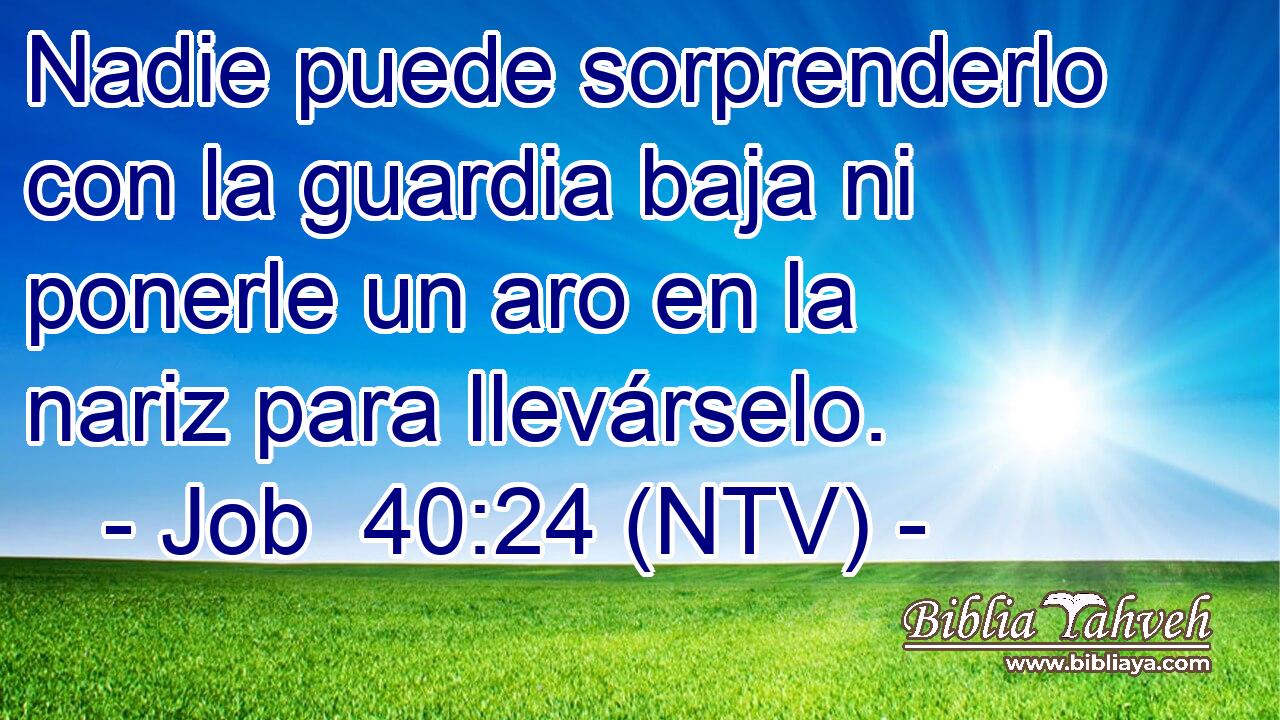 Nadie puede sorprenderlo con la guardia baja ni ponerle un aro en la nariz para llevárselo.