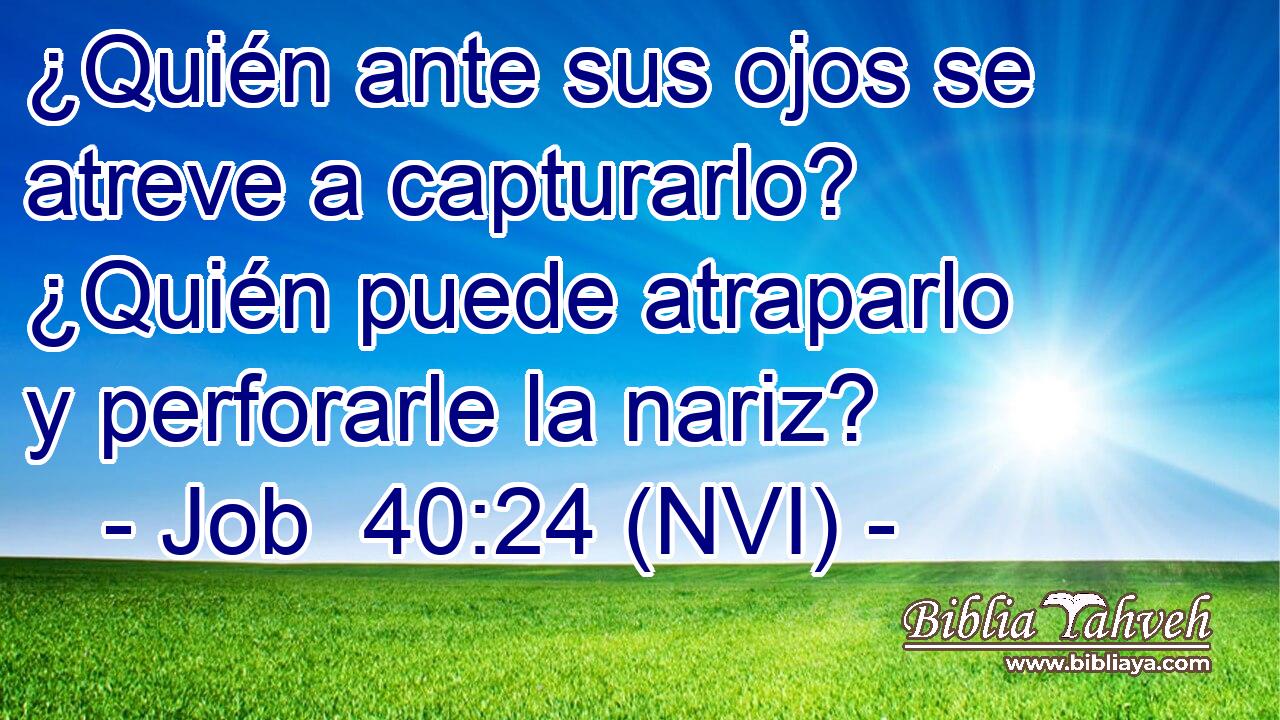  ¿Quién ante sus ojos se atreve a capturarlo? ¿Quién puede atraparlo y perforarle la nariz? 