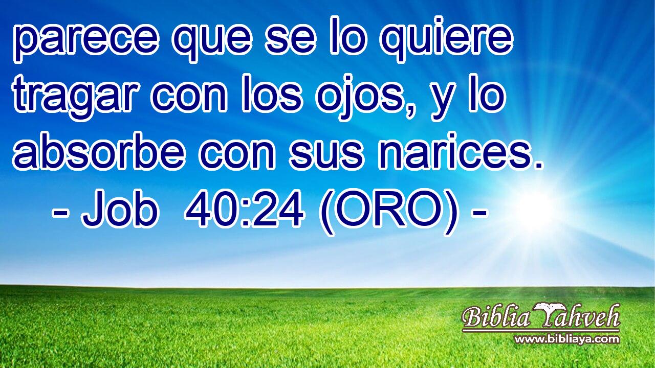  parece que se lo quiere tragar con los ojos, y lo absorbe con sus narices. 