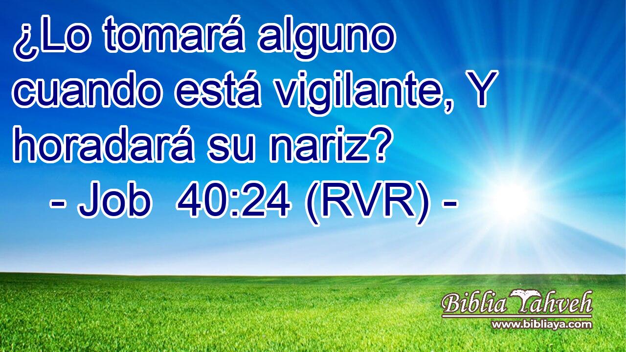 ¿Lo tomará alguno cuando está vigilante, Y horadará su nariz?