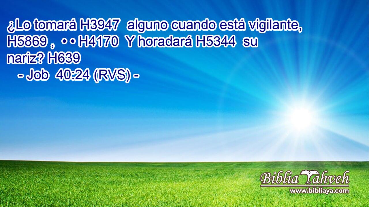 ¿Lo tomará H3947  alguno cuando está vigilante, H5869 ,  • • H4170  Y horadará H5344  su nariz? H639  