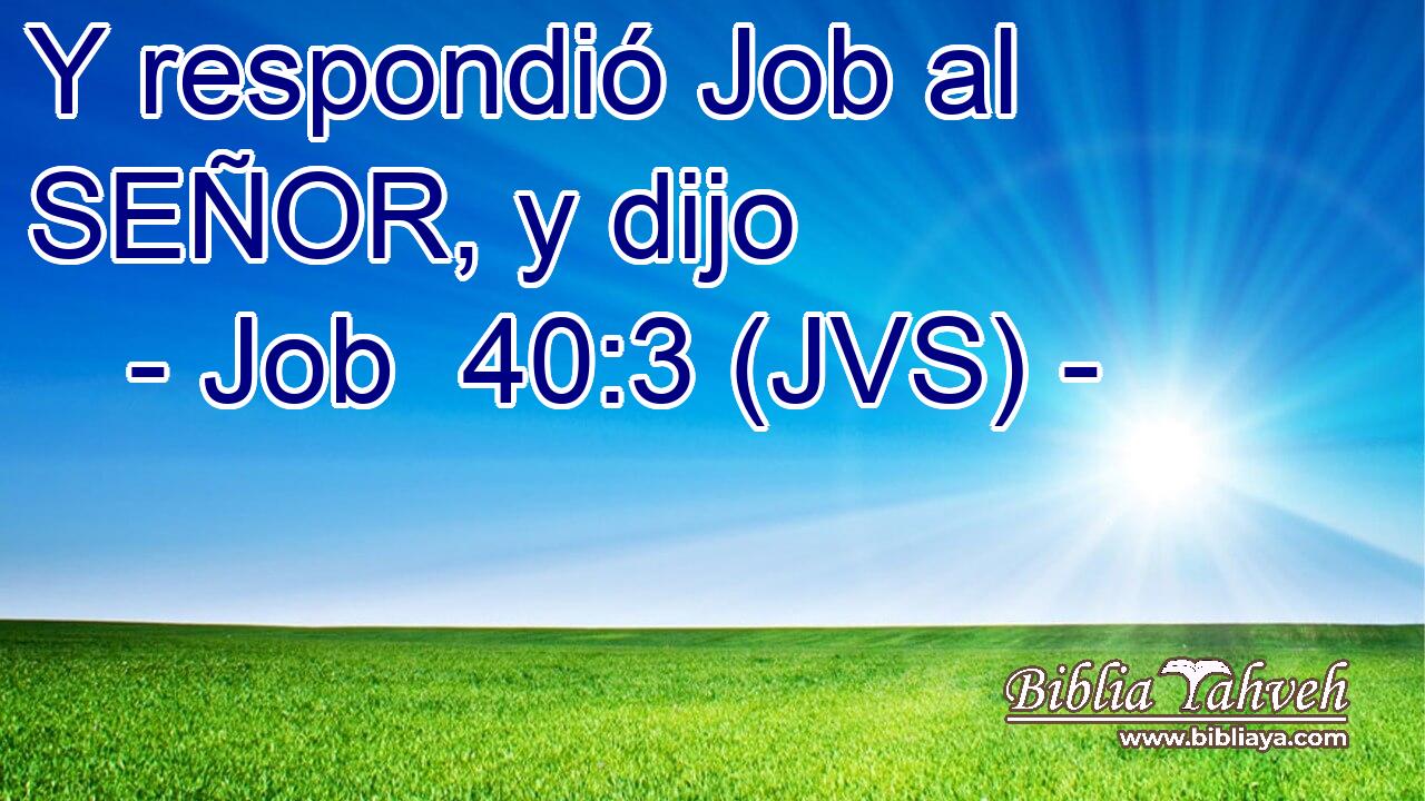 Y respondió Job al SEÑOR, y dijo