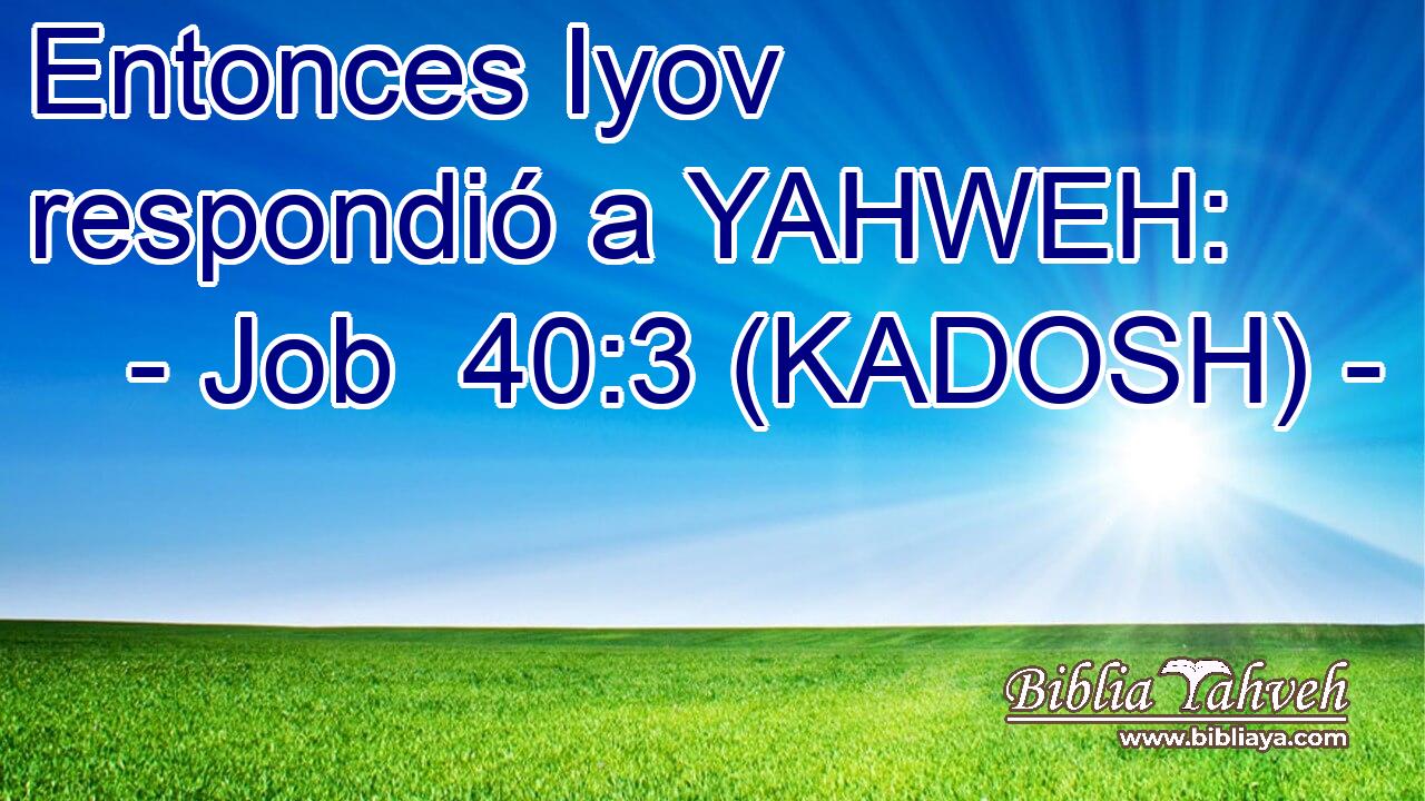  Entonces Iyov respondió a YAHWEH: 