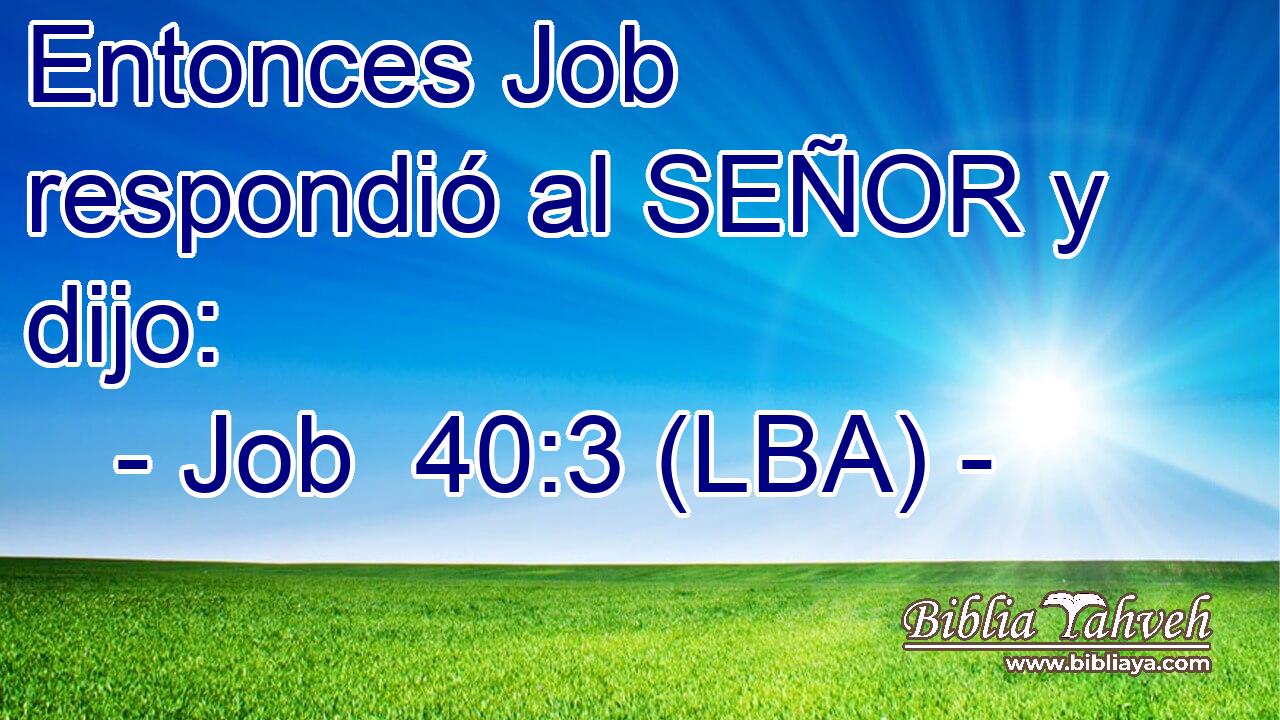 Entonces Job respondió al SEÑOR y dijo: