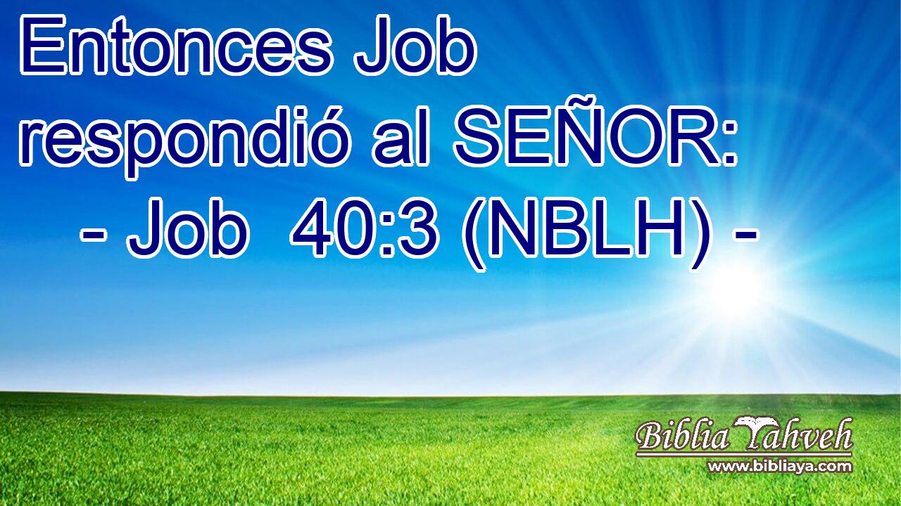  Entonces Job respondió al SEÑOR: 