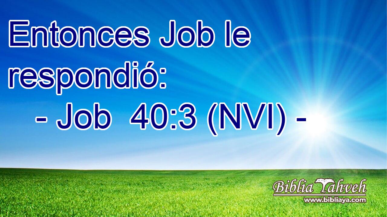  Entonces Job le respondió: 