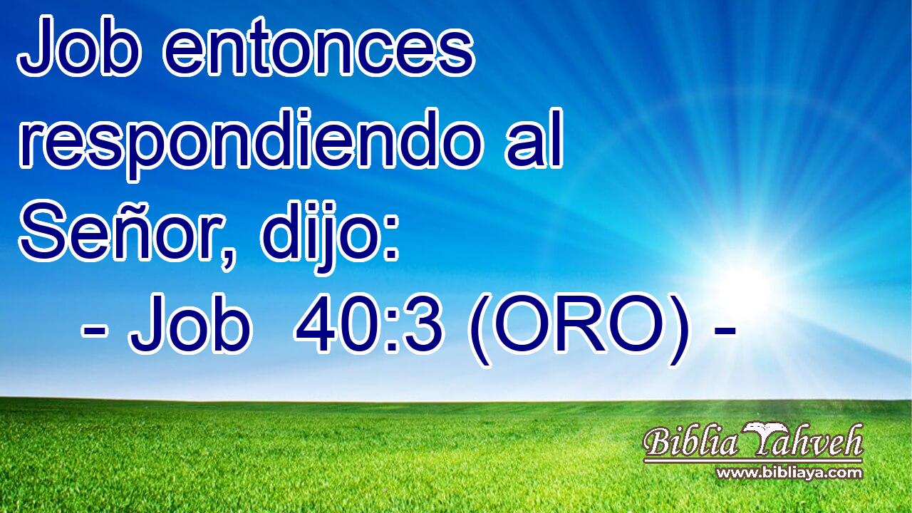  Job entonces respondiendo al Señor, dijo: 