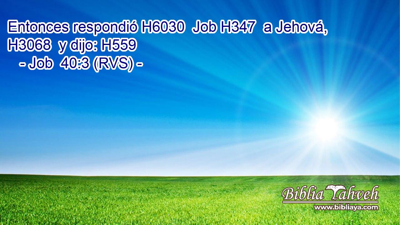 Entonces respondió H6030  Job H347  a Jehová, H3068  y dijo: H559  