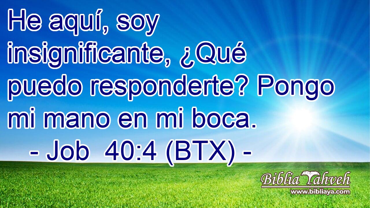 He aquí, soy insignificante, ¿Qué puedo responderte? Pongo mi mano en mi boca.