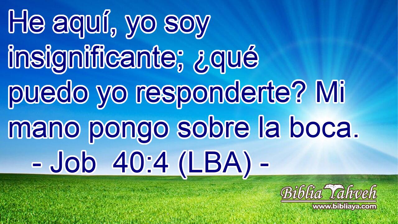 He aquí, yo soy insignificante; ¿qué puedo yo responderte? Mi mano pongo sobre la boca.