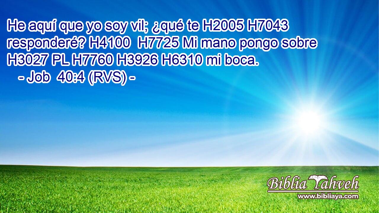 He aquí que yo soy vil; ¿qué te H2005 H7043  responderé? H4100  H7725 Mi mano pongo sobre H3027 PL H7760 H3926 H6310 mi boca. 