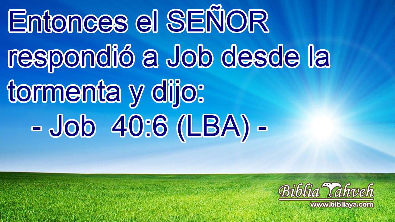 Entonces el SEÑOR respondió a Job desde la tormenta y dijo: