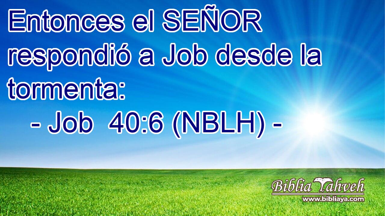  Entonces el SEÑOR respondió a Job desde la tormenta: 