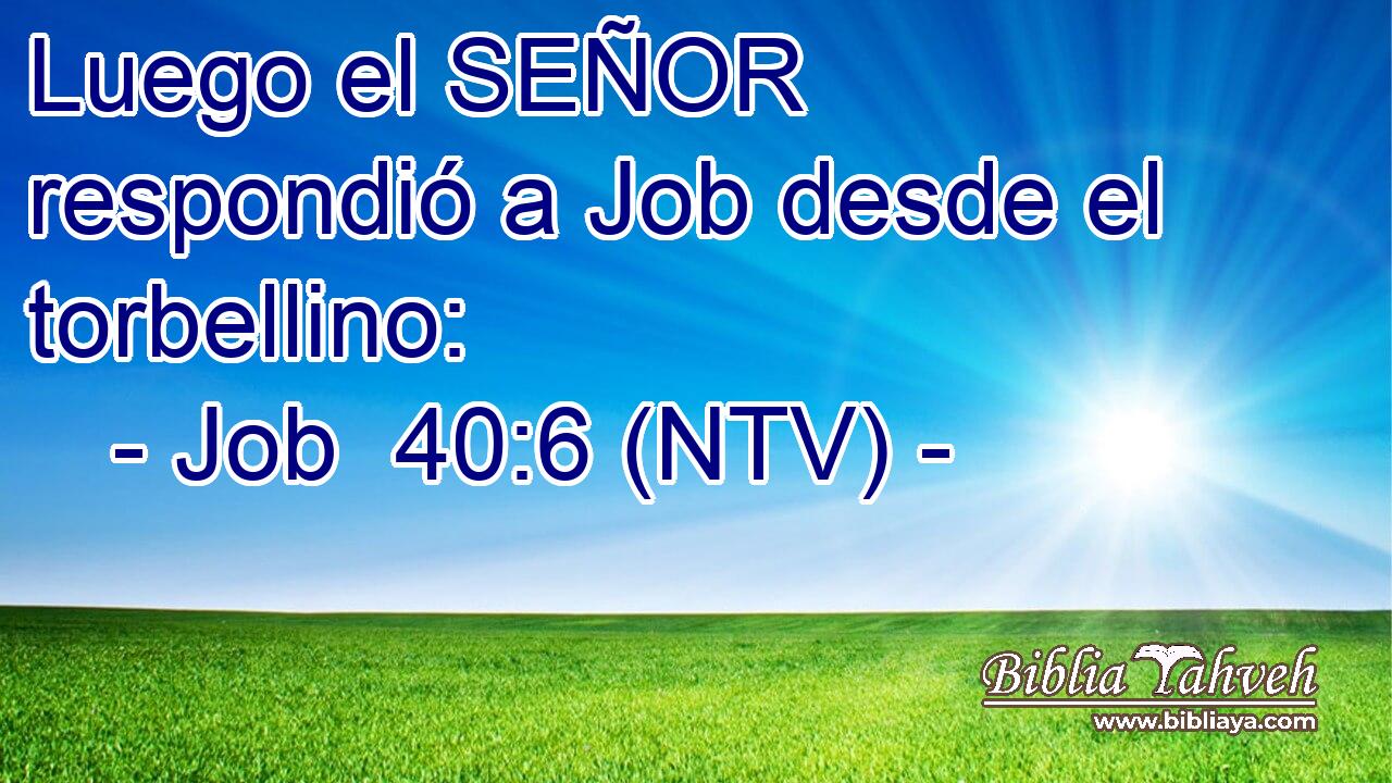 Luego el SEÑOR respondió a Job desde el torbellino: