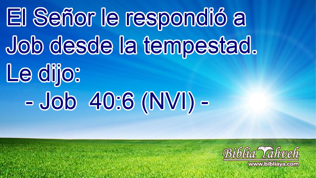  El Señor le respondió a Job desde la tempestad. Le dijo: 