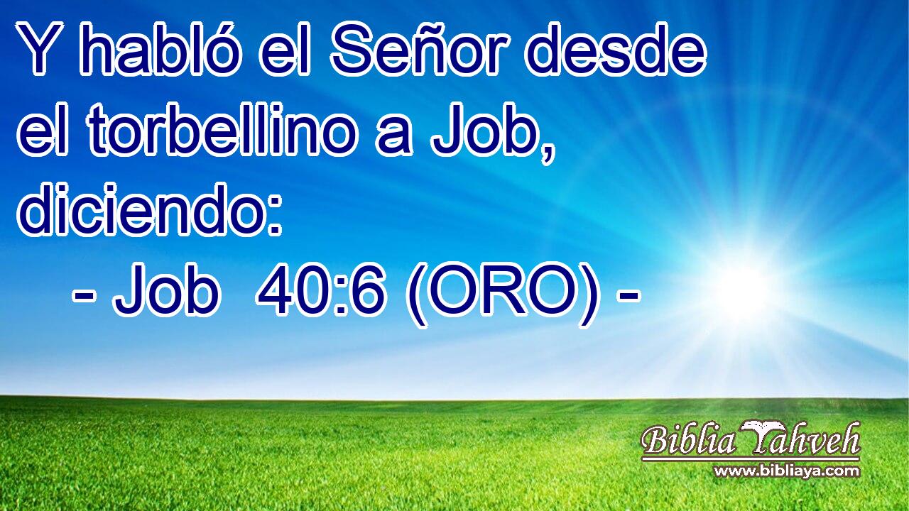  Y habló el Señor desde el torbellino a Job, diciendo: 