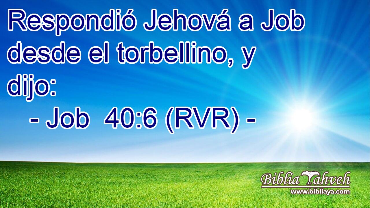 Respondió Jehová a Job desde el torbellino, y dijo: