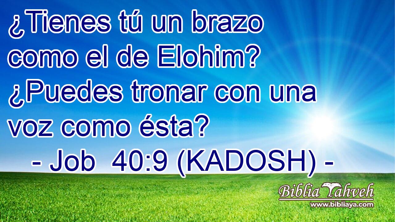  ¿Tienes tú un brazo como el de Elohim? ¿Puedes tronar con una voz como ésta? 
