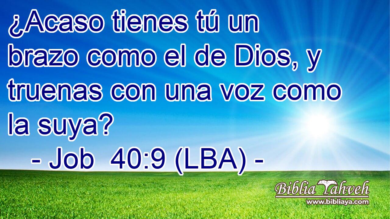 ¿Acaso tienes tú un brazo como el de Dios, y truenas con una voz como la suya?