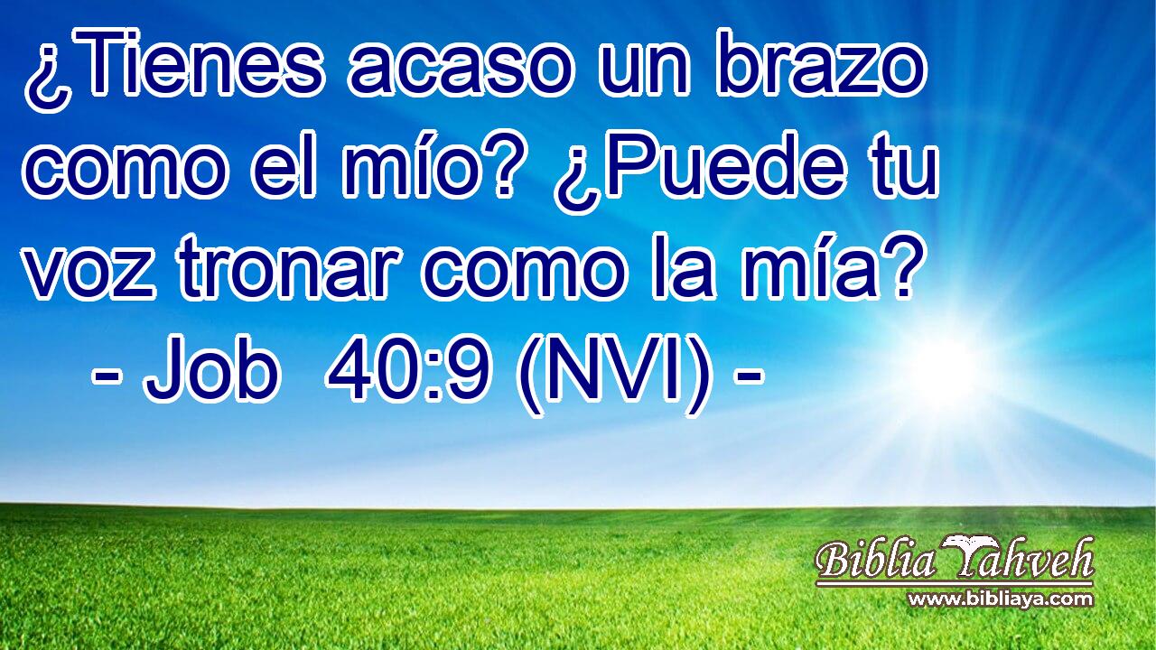  ¿Tienes acaso un brazo como el mío? ¿Puede tu voz tronar como la mía? 
