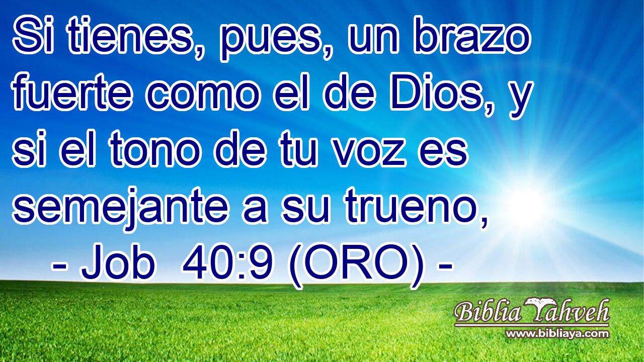  Si tienes, pues, un brazo fuerte como el de Dios, y si el tono de tu voz es semejante a su trueno, 