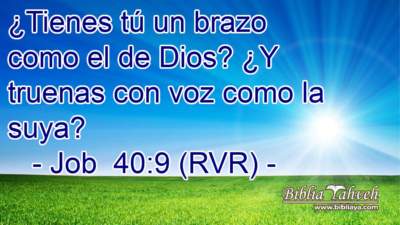 ¿Tienes tú un brazo como el de Dios? ¿Y truenas con voz como la suya?