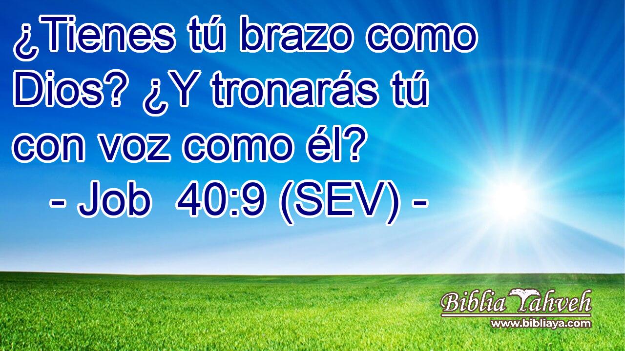 ¿Tienes tú brazo como Dios? ¿Y tronarás tú con voz como él?