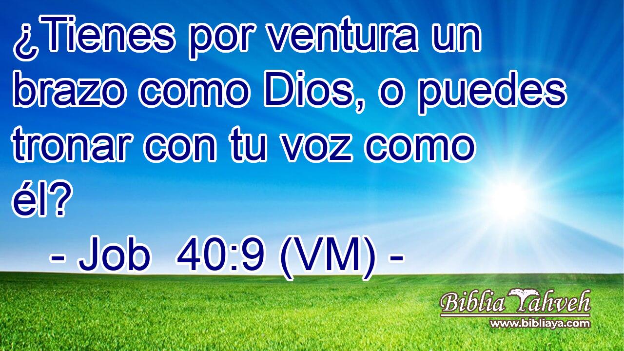  ¿Tienes por ventura un brazo como Dios, o puedes tronar con tu voz como él? 