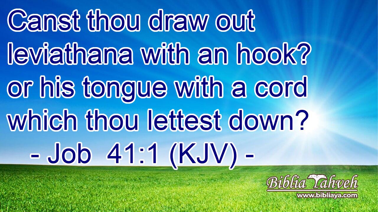 Canst thou draw out leviathana with an hook? or his tongue with a cord which thou lettest down?