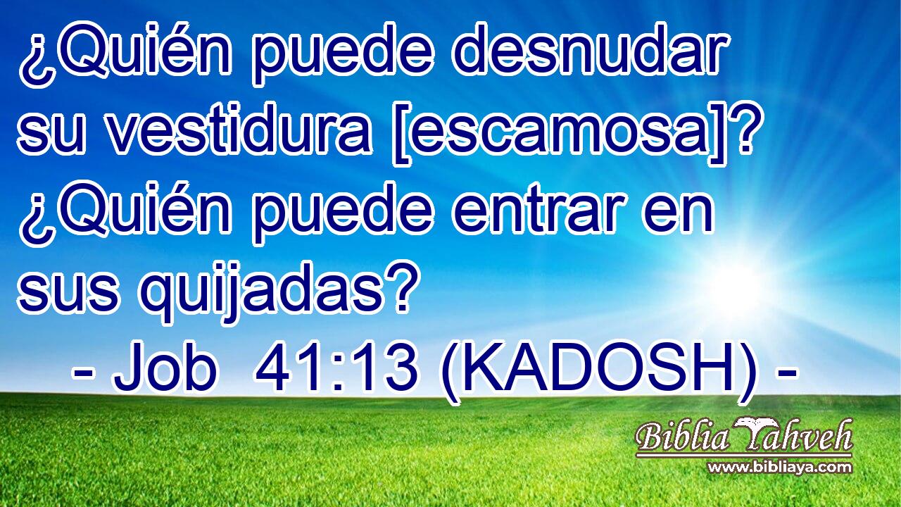  ¿Quién puede desnudar su vestidura [escamosa]? ¿Quién puede entrar en sus quijadas? 
