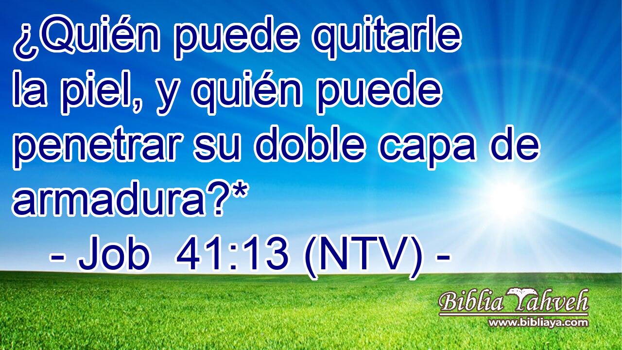 ¿Quién puede quitarle la piel, y quién puede penetrar su doble capa de armadura?*
