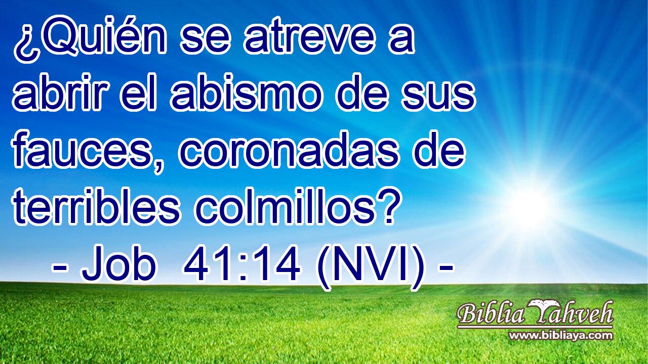 ¿Quién se atreve a abrir el abismo de sus fauces, coronadas de terribles colmillos? 