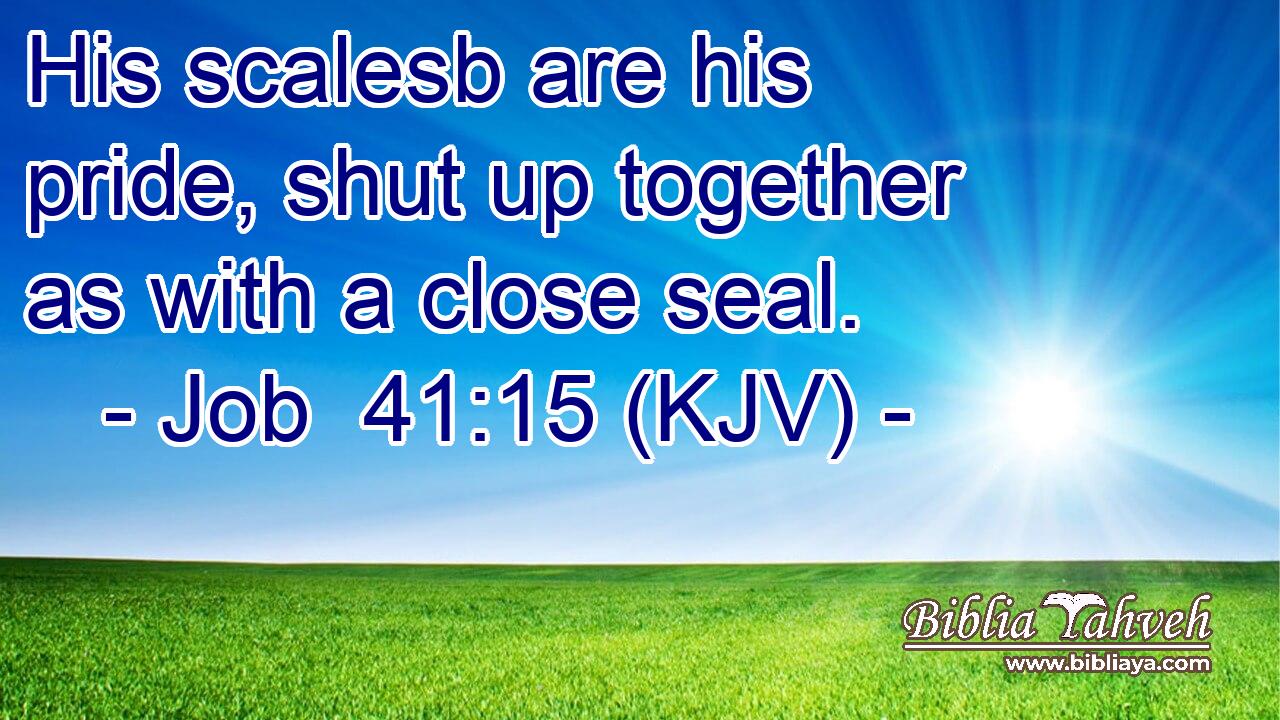 His scalesb are his pride, shut up together as with a close seal.