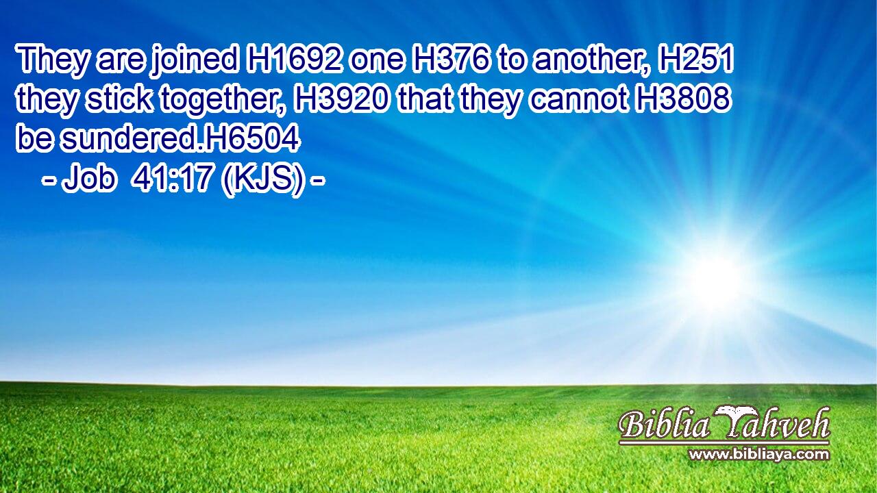 They are joined H1692 one H376 to another, H251 they stick together, H3920 that they cannot H3808 be sundered.H6504