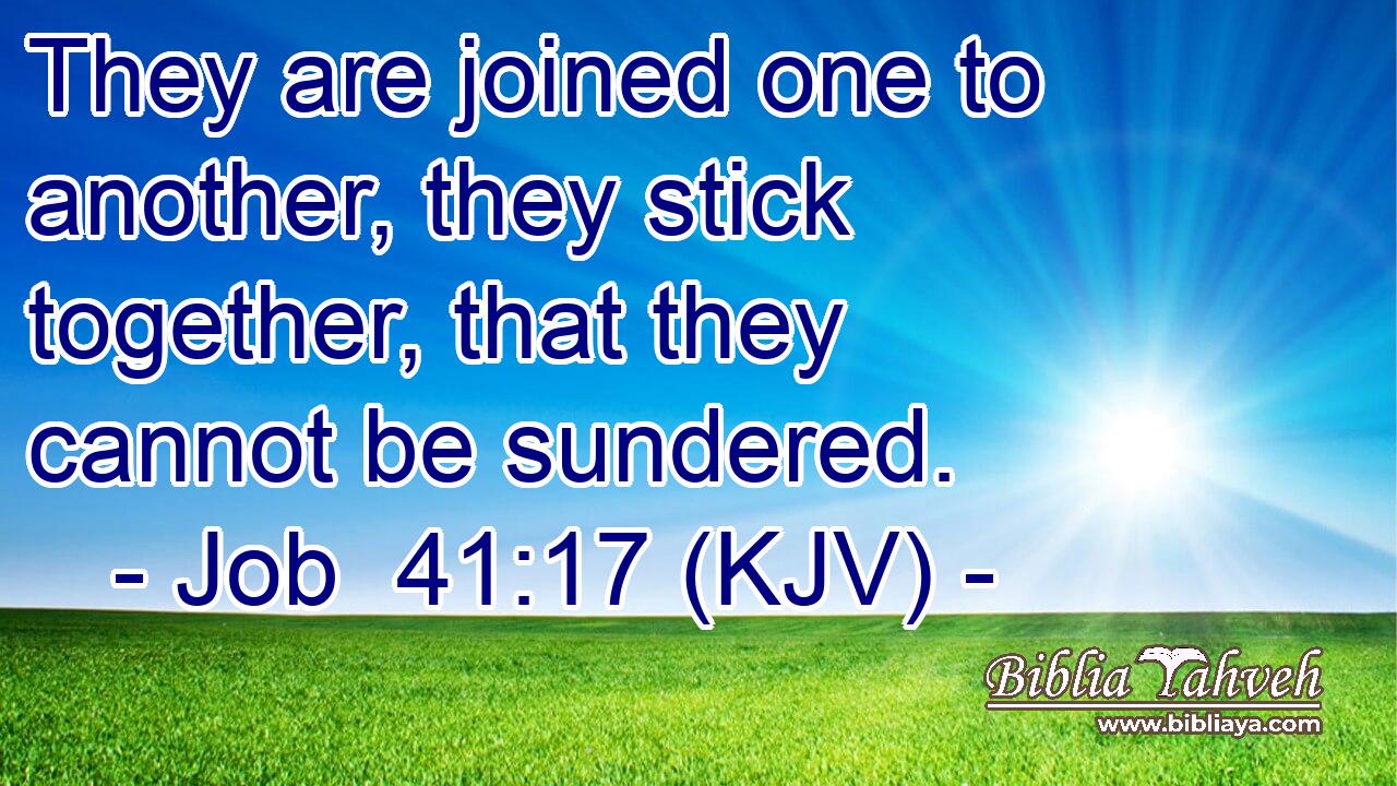 They are joined one to another, they stick together, that they cannot be sundered.