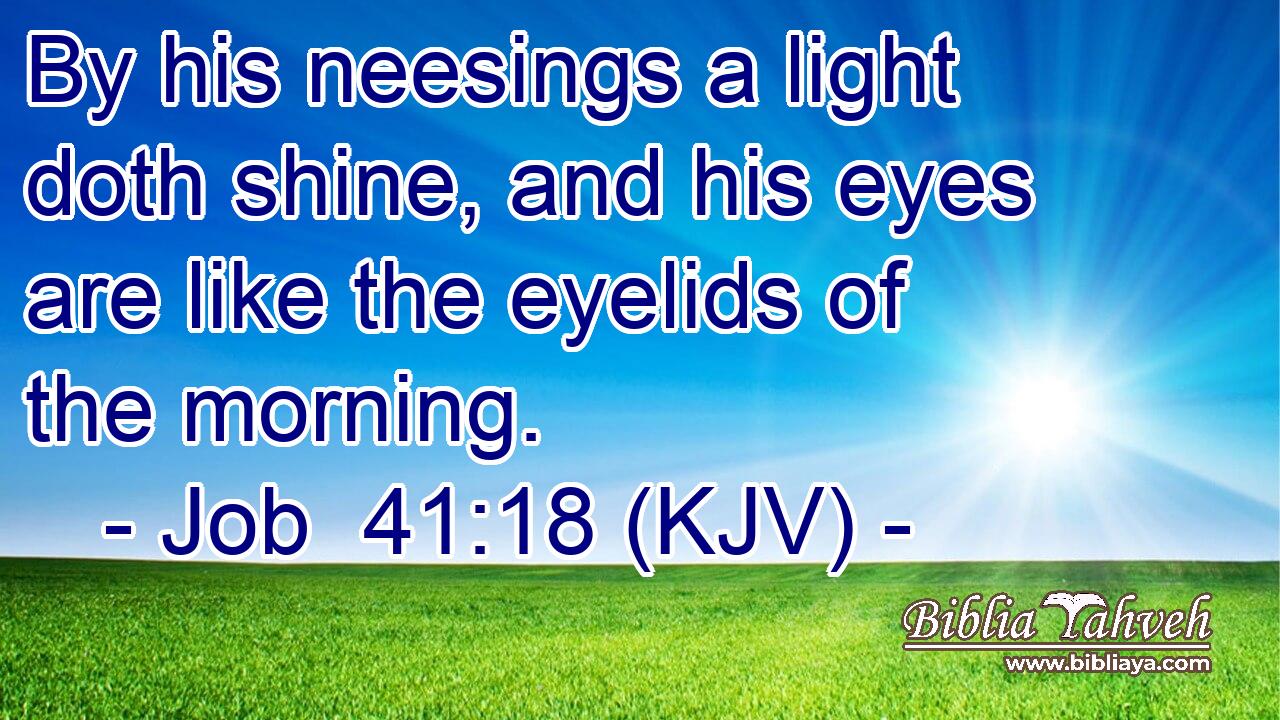 By his neesings a light doth shine, and his eyes are like the eyelids of the morning.